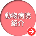 動物病院紹介